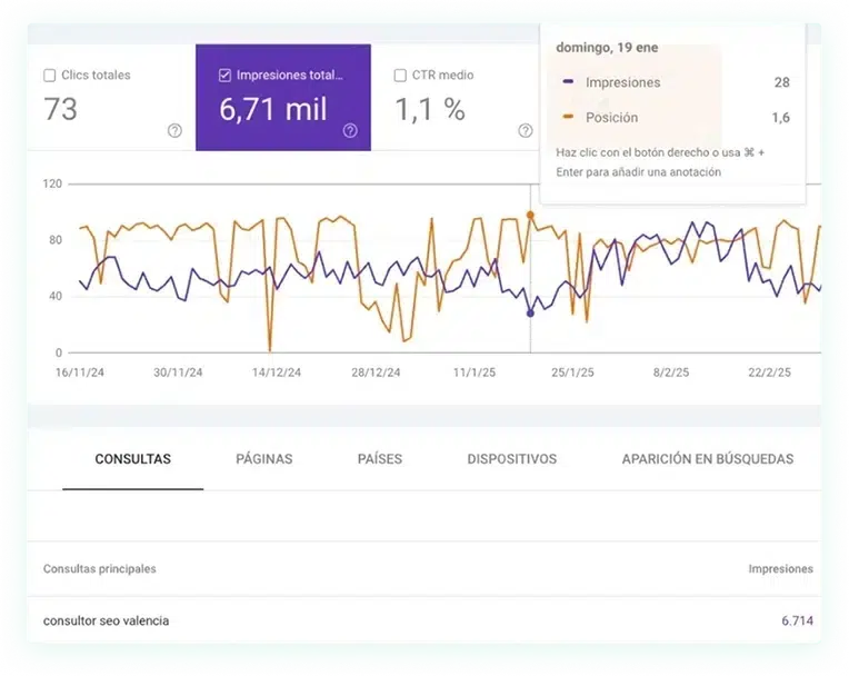 resultados consultor seo agencia valencia